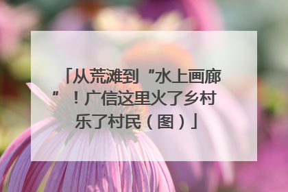 从荒滩到“水上画廊”！广信这里火了乡村 乐了村民（图）