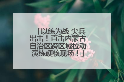 以练为战 尖兵出击！直击内蒙古自治区跨区域拉动演练硬核现场！
