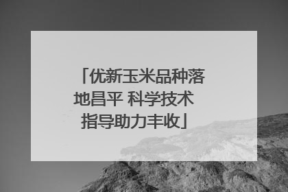 优新玉米品种落地昌平 科学技术指导助力丰收