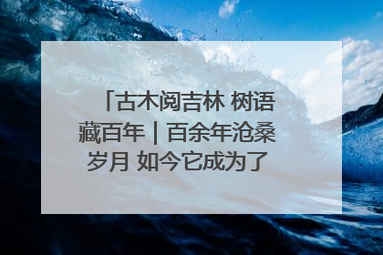 古木阅吉林 树语藏百年｜百余年沧桑岁月 如今它成为了“镇园之宝”
