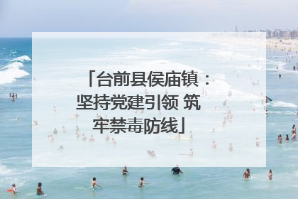 台前县侯庙镇：坚持党建引领 筑牢禁毒防线
