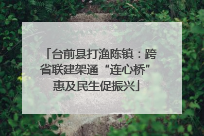 台前县打渔陈镇：跨省联建架通“连心桥” 惠及民生促振兴