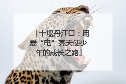 十堰丹江口：用爱“电”亮天使少年的成长之路