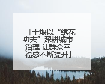 十堰以“绣花功夫”深耕城市治理 让群众幸福感不断提升