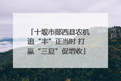 十堰市郧西县农机追“丰”正当时 打赢“三夏”促增收