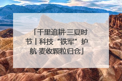 千里追耕·三夏时节丨科技“铁军”护航 麦收颗粒归仓