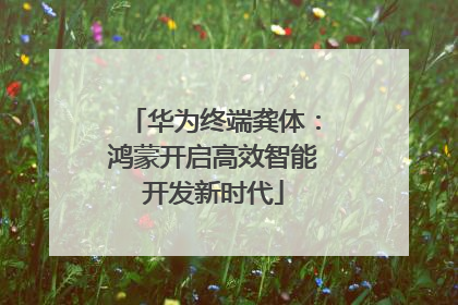 华为终端龚体：鸿蒙开启高效智能开发新时代