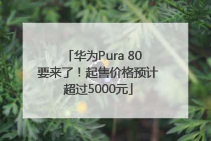 华为Pura 80要来了！起售价格预计超过5000元