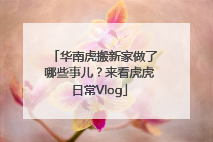 华南虎搬新家做了哪些事儿？来看虎虎日常Vlog