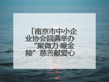 南京市中小企业协会圆满举办“聚微力·暖金陵”慈善献爱心暨义卖活动