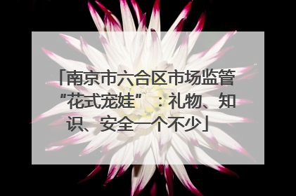 南京市六合区市场监管“花式宠娃”：礼物、知识、安全一个不少