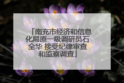 南充市经济和信息化局原一级调研员石全华 接受纪律审查和监察调查