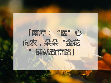 南漳：“医”心向农，朵朵“金花”铺就致富路