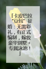 卡皮巴拉“豆包”征婚：无需彩礼，有正式编制，嫁妆豪华别墅＋专属泳池！