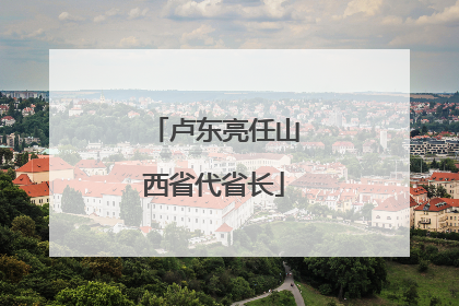 卢东亮任山西省代省长