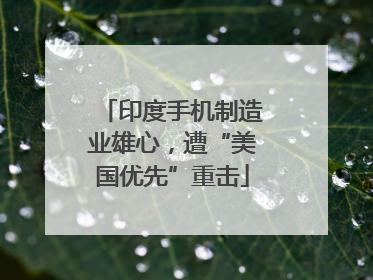 印度手机制造业雄心，遭“美国优先”重击