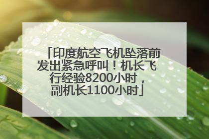 印度航空飞机坠落前发出紧急呼叫！机长飞行经验8200小时，副机长1100小时