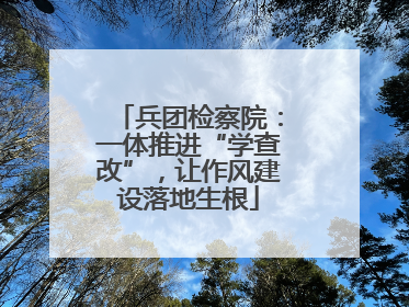 兵团检察院：一体推进“学查改”，让作风建设落地生根