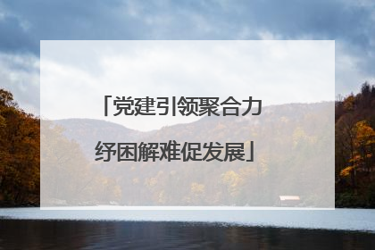 党建引领聚合力 纾困解难促发展