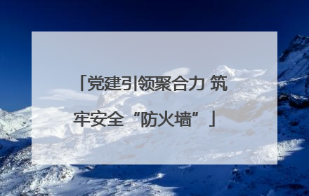 党建引领聚合力 筑牢安全“防火墙”