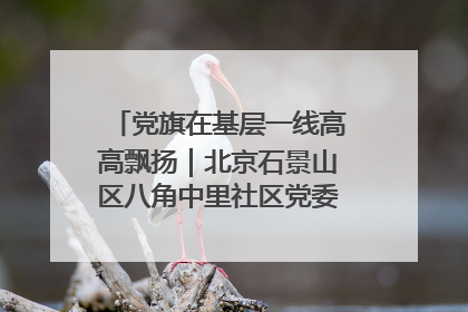 党旗在基层一线高高飘扬｜北京石景山区八角中里社区党委：用脚步丈量民生