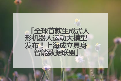全球首款生成式人形机器人运动大模型发布！上海成立具身智能数据联盟