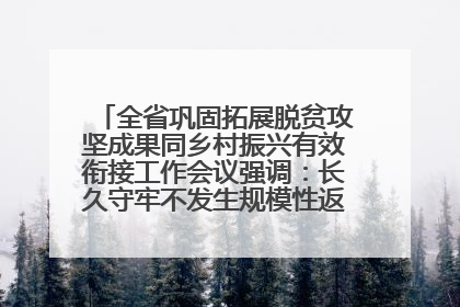 全省巩固拓展脱贫攻坚成果同乡村振兴有效衔接工作会议强调：长久守牢不发生规模性返贫致贫底线 王宁出席并讲话 王予波主持
