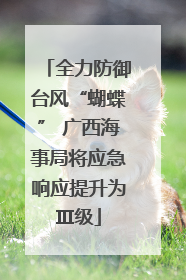 全力防御台风“蝴蝶” 广西海事局将应急响应提升为Ⅲ级