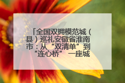 全国双拥模范城（县）巡礼安徽省淮南市：从“双清单”到“连心桥” 一座城的双拥密码