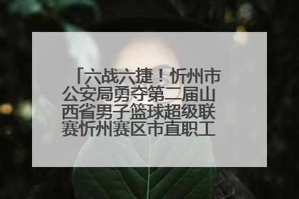 六战六捷！忻州市公安局勇夺第二届山西省男子篮球超级联赛忻州赛区市直职工组比赛冠军