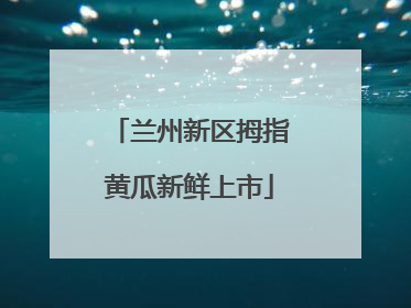 兰州新区拇指黄瓜新鲜上市
