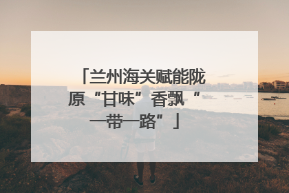 兰州海关赋能陇原“甘味”香飘“一带一路”