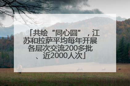 共绘“同心圆”，江苏和拉萨平均每年开展各层次交流200多批、近2000人次