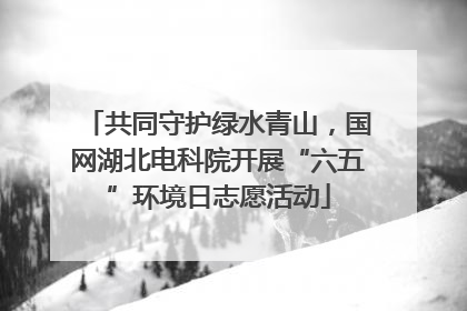 共同守护绿水青山，国网湖北电科院开展“六五”环境日志愿活动