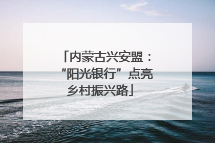 内蒙古兴安盟：“阳光银行”点亮乡村振兴路