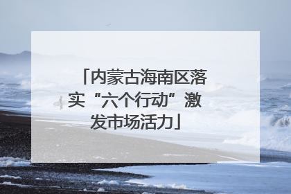 内蒙古海南区落实“六个行动”激发市场活力
