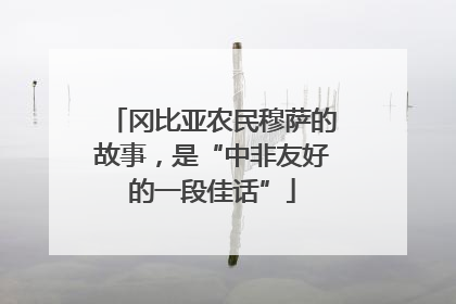 冈比亚农民穆萨的故事，是“中非友好的一段佳话”