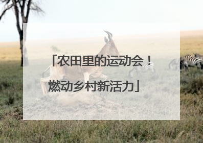 农田里的运动会！燃动乡村新活力