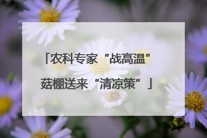 农科专家“战高温” 菇棚送来“清凉策”