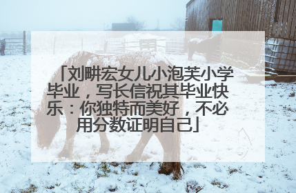 刘畊宏女儿小泡芙小学毕业，写长信祝其毕业快乐：你独特而美好，不必用分数证明自己