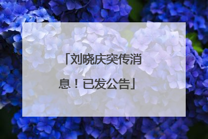 刘晓庆突传消息！已发公告