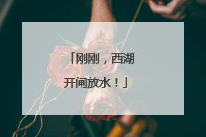 刚刚，西湖开闸放水！