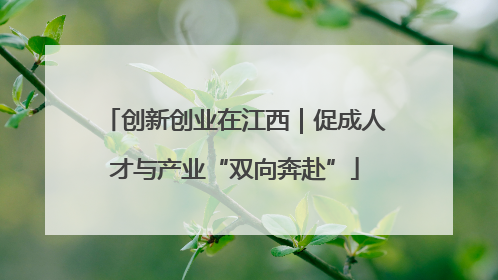 创新创业在江西｜促成人才与产业“双向奔赴”