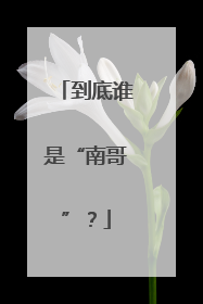 到底谁是“南哥”？