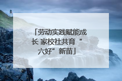 劳动实践赋能成长 家校社共育“六好”新苗