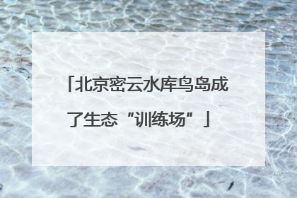 北京密云水库鸟岛成了生态“训练场”