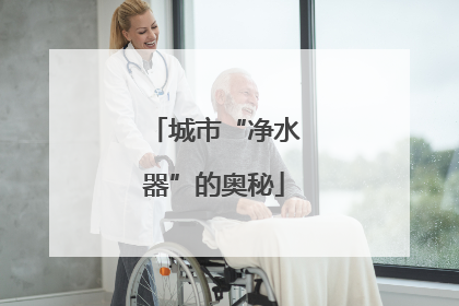 城市“净水器”的奥秘