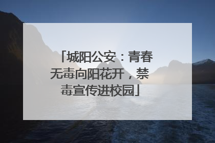 城阳公安：青春无毒向阳花开，禁毒宣传进校园