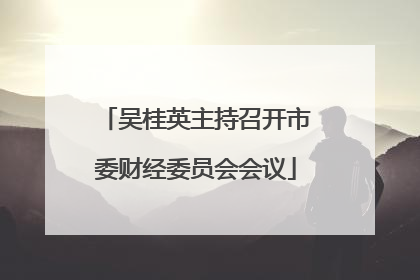 吴桂英主持召开市委财经委员会会议
