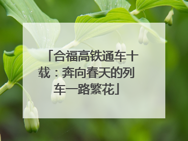 合福高铁通车十载：奔向春天的列车一路繁花
